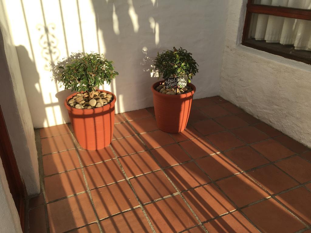 Casablanca Bed And Breakfast Stellenbosch Ngoại thất bức ảnh